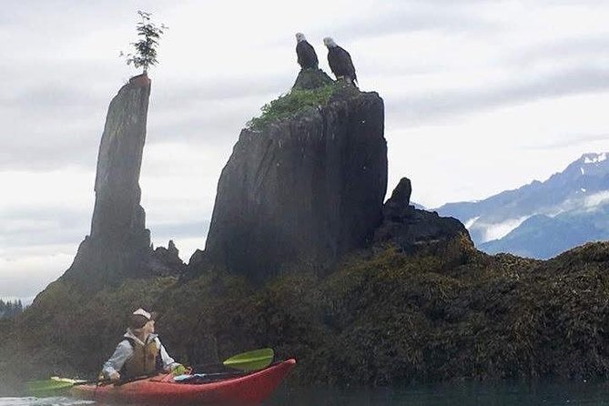 Kayak and Hike to Historic WW2 Army Fort in Alaska! - Health and Safety Requirements