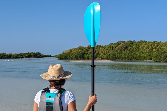 Kayak Merida - Schedule and Opening Hours