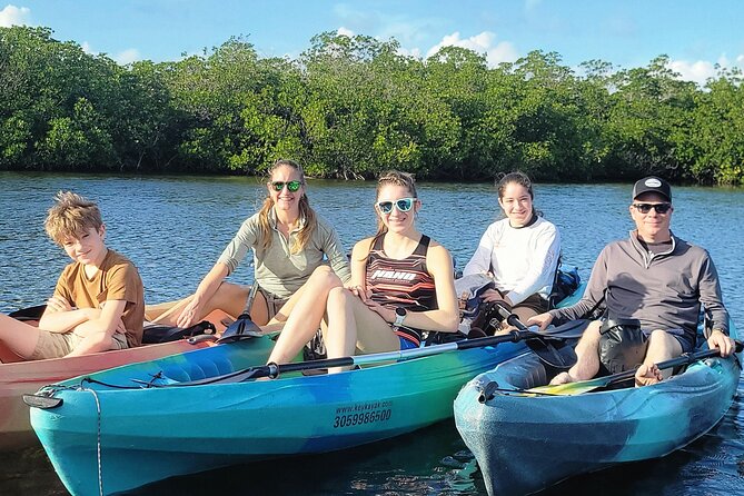 Kayak Through Mangrove Forests Review - Accessibility and Suitability for All Ages