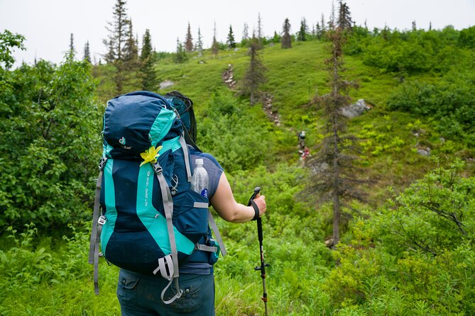 Kesugi Ridge Multiday Backpacking Tour Review - Physical and Health Requirements