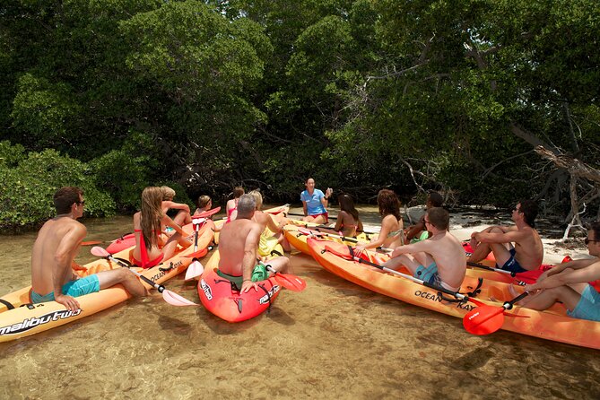Key West Island Eco Tour With Transportation From Miami - Accessibility Information