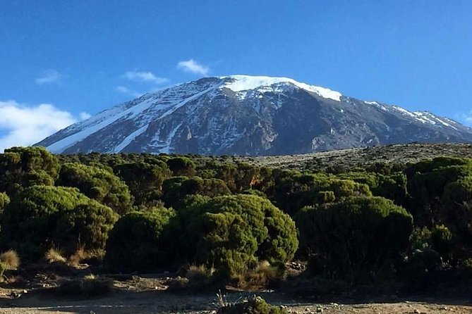 Kilimanjaro-Trekking Lemosho Route 8 Days / 7 Nights - Meeting and Pickup Details