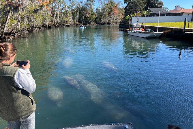 Kings Bay Eco Tours - Inclusions