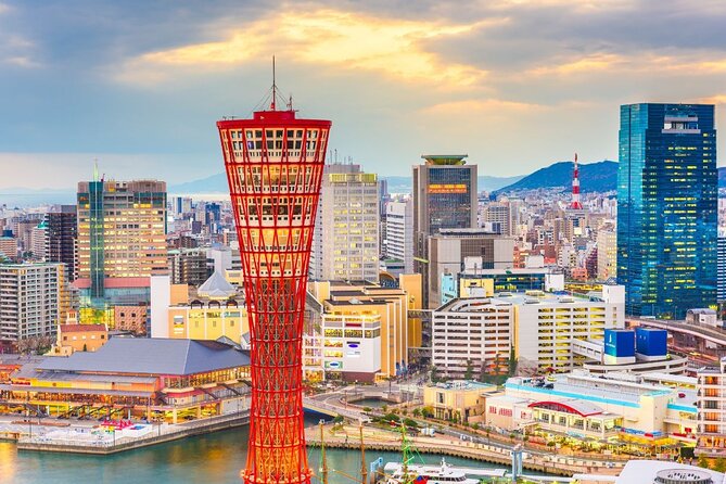 Kobe : Private Custom Tour (Excursion to Osaka / Kyoto Possible) - Accessibility Features