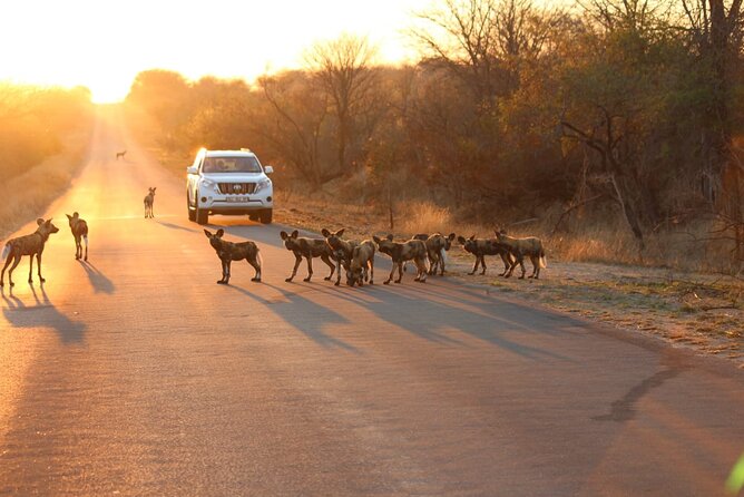 Kruger National Game Park Three Day PRIVATE Tour - Accommodation Details