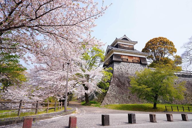 Kumamoto Private Customizable Full Day Tour - Booking and Cancellation Policy