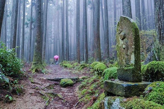 Kumano Kodo Pilgrimage Full-Day Private Trip With Government Licensed Guide - Role of the Government Licensed Guide