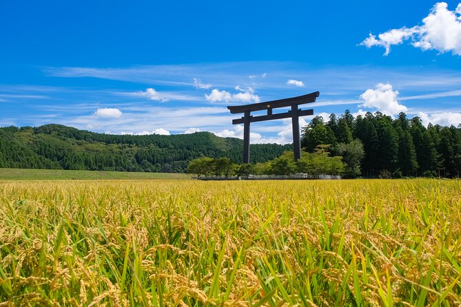 Kumano Kodo Pilgrimage Tour With Licensed Guide & Vehicle - Pickup and Drop-off Arrangements