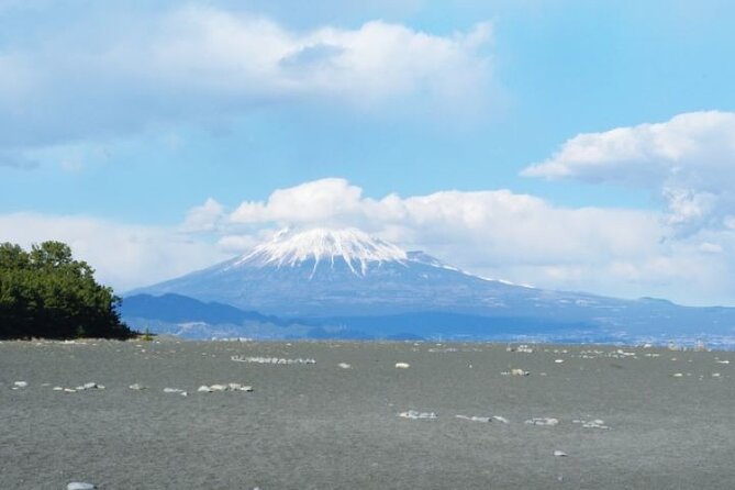 Kunozan Toshogu Shrine to Miho Matsubara / V-G - Tour Schedule and Availability