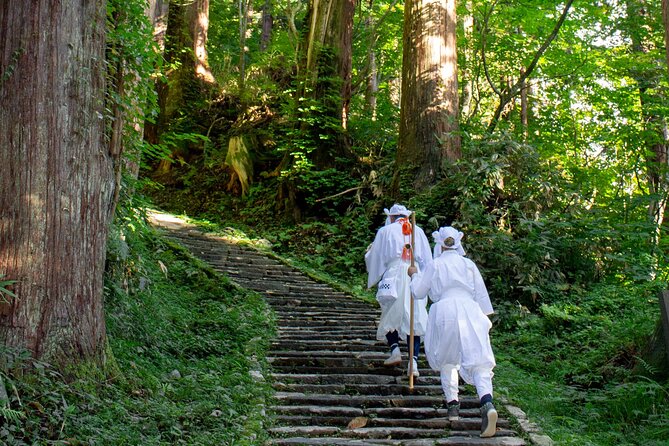 Kyoto Highlights Eastern Western Northern and Southern Routes - Participant Requirements