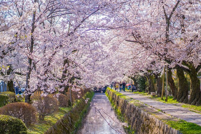 Kyoto Hihashiyama E-Bike Tour *Private, Pick up From/To Hotel - Transportation