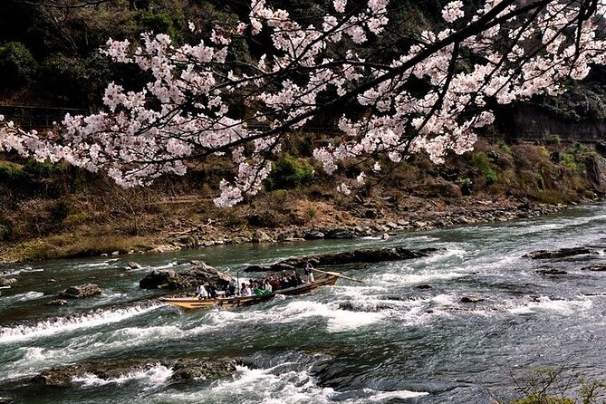 Kyoto Sagano Romantic Train With Cherry Blossoms Bus Tour - Seasonal Variations and Weather Impacts