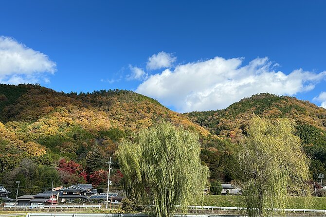 Kyoto Satoyama Cycling With Prayer Food Culture - Important Information