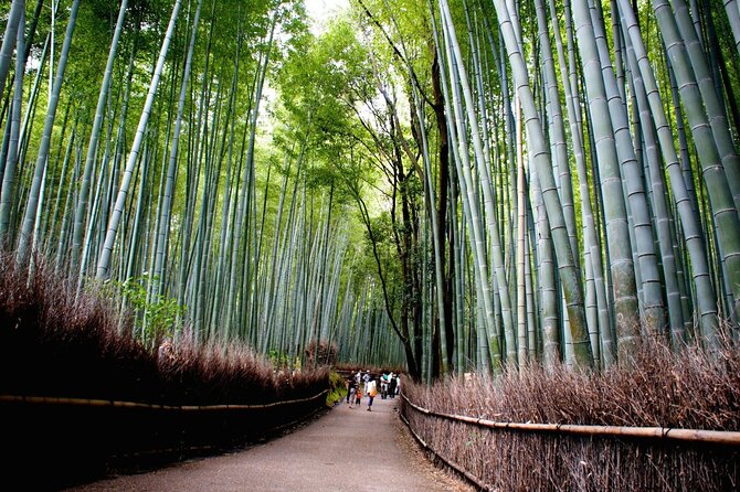 Kyoto Tour Local and Major Highlights - Hidden Gems and Local Insights