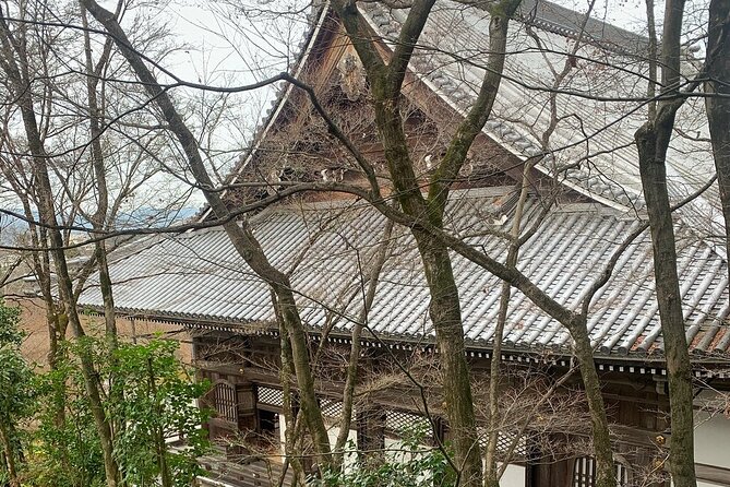 Kyoto : Treasures of Gion & Historical Walking Tour With a Guide - Delving Into Architectural Gems