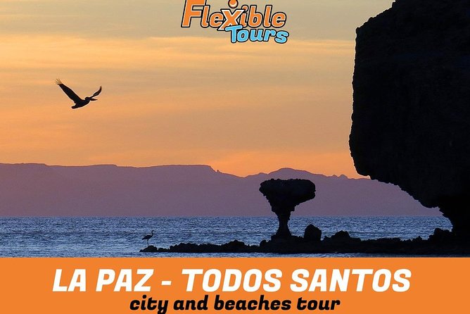 La Paz and Todos Santos City and Beaches Tour - Personalized Tour Experience