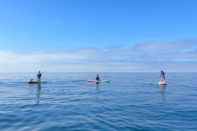 Laguna Beach Stand Up Paddle Activity - Equipment Provided for Your Adventure