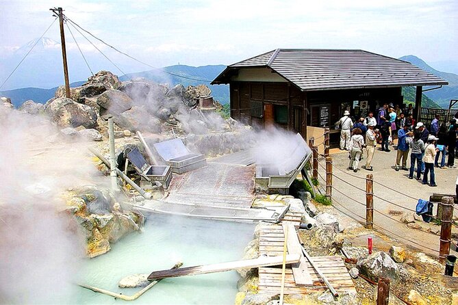 Lake Ashi Hakone Owakudani Kowakien With Daily Chauffeur - Reviews and Experience