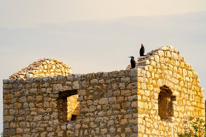 Lake Skadar Guided Tour: Discover the Montenegrin Alcatraz - Tips for an Enjoyable Experience