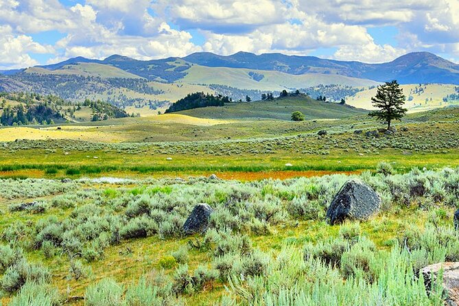Lamar River Valley Day Hike Tour - Wildlife Viewing Opportunities