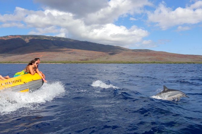 Lanai Deluxe Dolphin Adventure & 3 Snorkel Sites - Exceptional Crew and Service