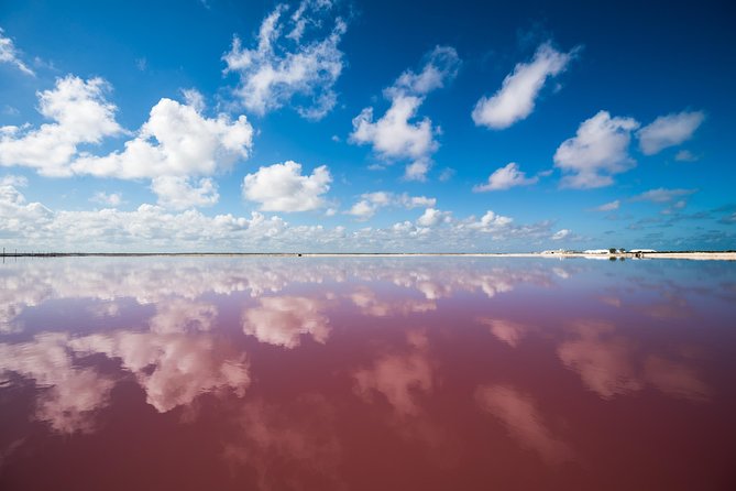 Las Coloradas Pink Lagoon + Rio Lagartos Tour - Meeting and Pickup Details
