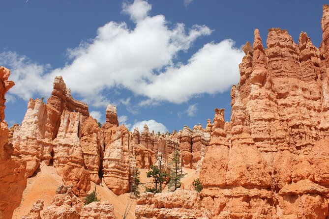 Las Vegas and National Parks 6 Day Tour From San Francisco - Meeting and Pickup Information