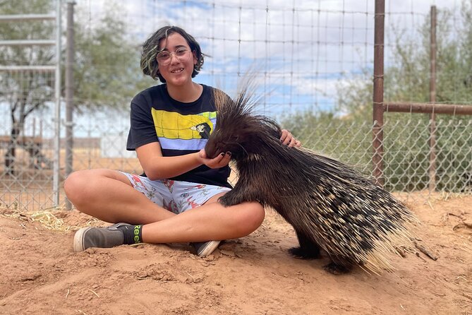 Las Vegas VIP Sunset Safari Tour Review - Snacks and Smores Experience