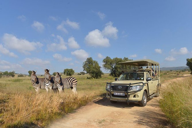 Lesedi Cultural Village and Lion Park Day Tour From Johannesburg - Whats Included in the Tour