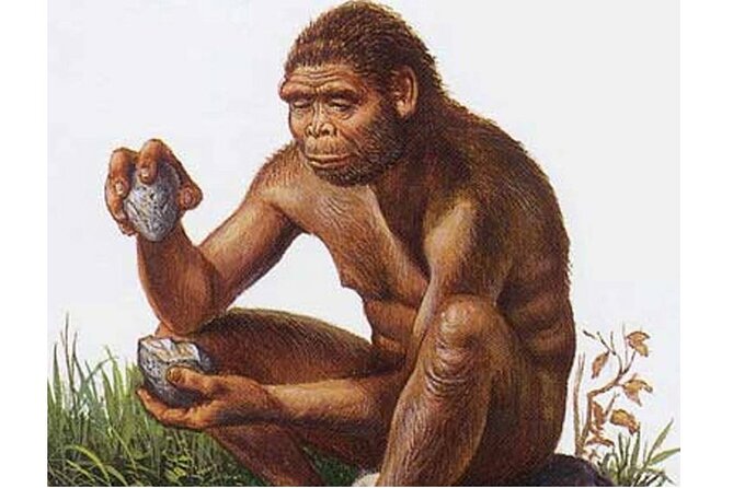 Lesedi Cultural Village & Cradle of Humankind - Tour Inclusions and Details