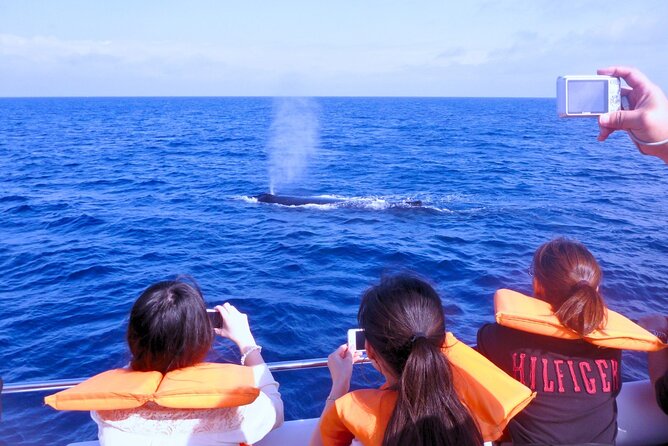 [Limited Time] From Onna Village (Maeda Fishing Port)! Whale Watching｜Completely Reserved Boat Charter Plan (4 Hour Course) - Inclusions and Preparations