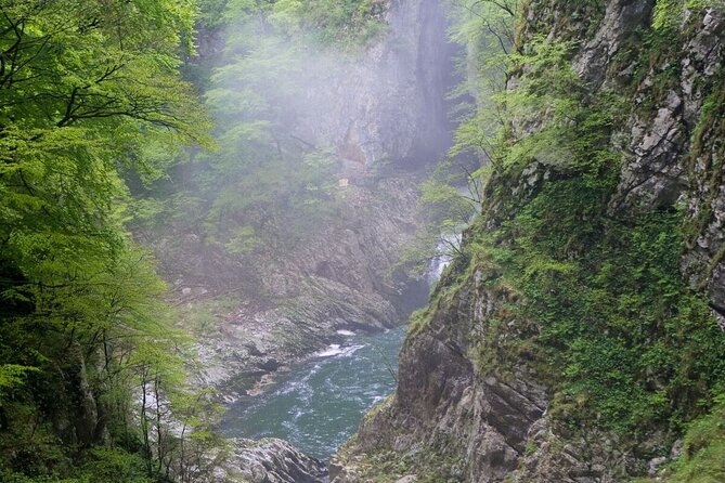 Lipica Stud Farm and Skocjan Caves Half Day Trip From Ljubljana - Lipica Stud Farm Experience