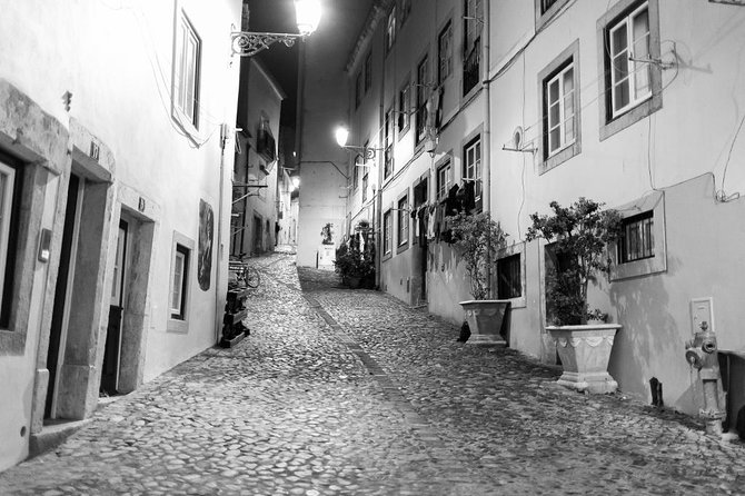Lisbon Fado Walking Tour (With a Fado Singer) - Meeting and End Points