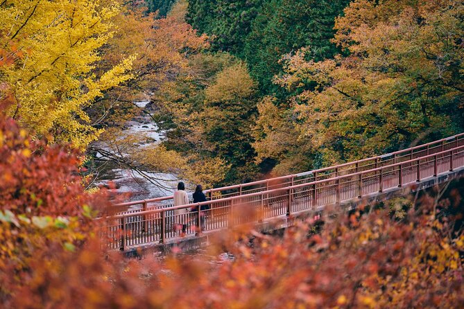 Little Adventure With Cycling in Tokyo No. 1 Crystal Clear River - Taking in the Crystal Clear River