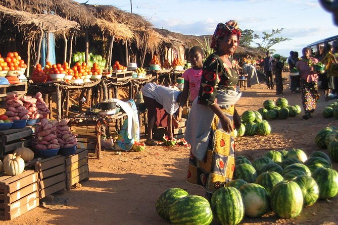 Livingstone Town Tour - Accessibility Options