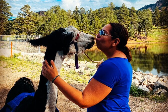 Llama to Lunch in the Rocky Mountains Review - Lunch in the Rocky Mountains