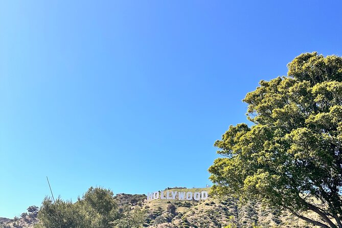 Los Angeles Private Tour - Tour Experience and Guide Reviews