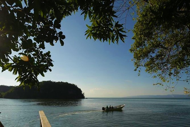 Los Haitises National Park Private Boat Trip Caves and Mangroves - Spotting Local Wildlife