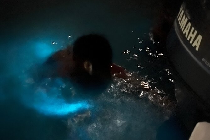 Luminous Lagoon Private Tour In Montego Bay - Pickup and Drop-off Information