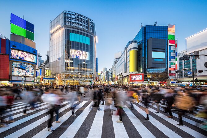 Luxury Haneda Airport Transfer Including 2 Hours Standby Time - Inclusions and Amenities