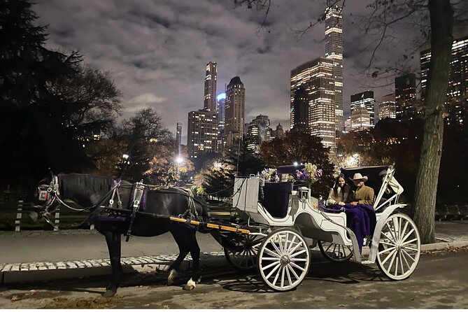 Luxury Horse and Carriage Tours in Central Park - Accessibility and Participation