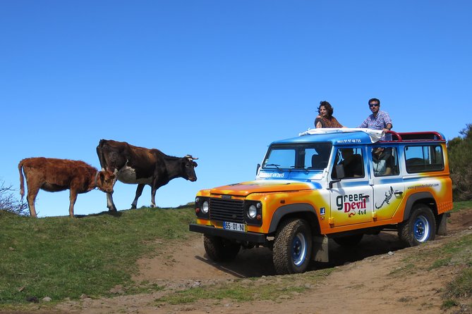 Madeira Sea Cliff and Camara De Lobos 4WD Half Day Tour - Pricing Details