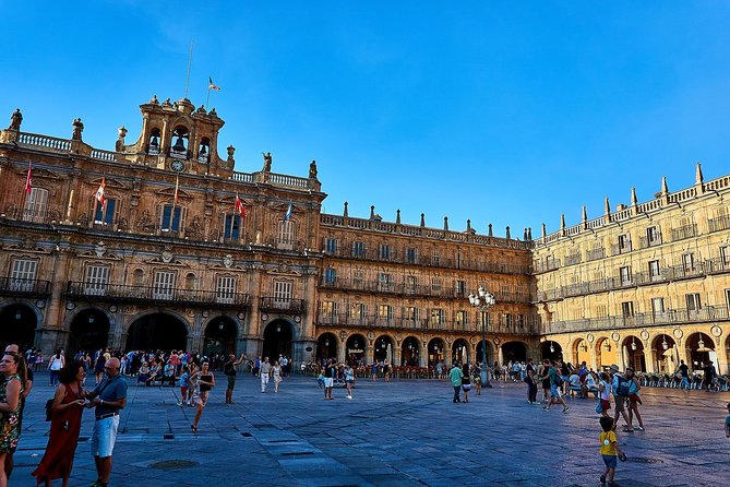 Madrid: Private Transfer IN or OUT (Door-to-Door Service) - Seamless Travel Experience