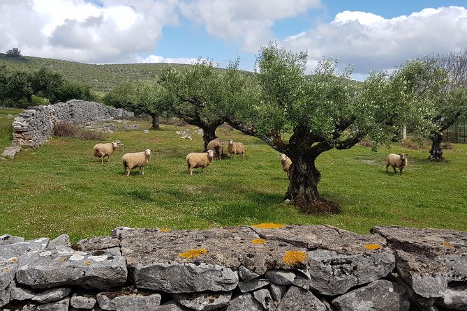 Magical Óbidos, Biggest Portugal's Cave Mira Daire and Fátima - Significance of Fátima Pilgrimage