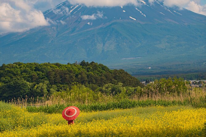 Majestic Mount Fuji: Exclusive Private Day Tour - Expectations and Accessibility