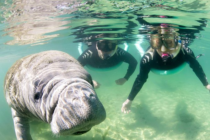 Manatee Snorkel Tour - Small Group - Meeting and Cancellation Policy