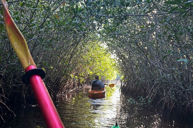 Manatees, Grasslands and Mangroves Kayak Tour (Small Group Tour) - Health and Safety Information