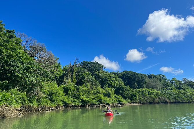 Mangrove Kayak ＆ Sea Fishing Experience in Okinawa - What to Bring and Wear