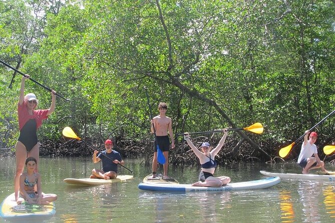 Mangrove Paddle Ride Sainte Anne Guadeloupe - Exploring the Mangrove Ecosystem