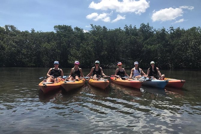 Mangrove Tunnels Pedal Kayak Eco-Tour in Anna Maria - Encountering Marine Wildlife
